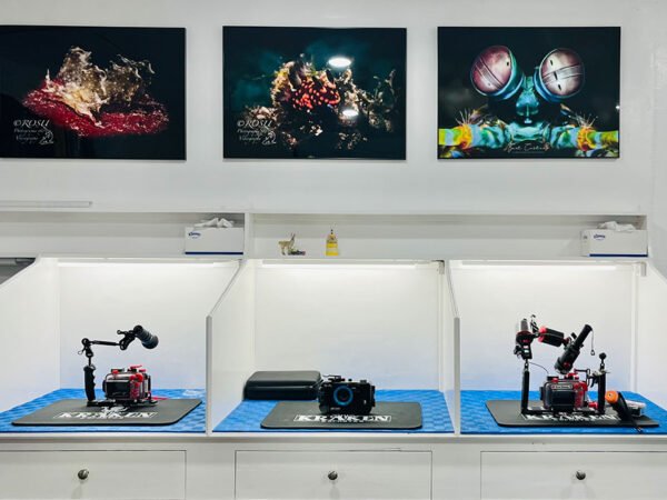 campbells beach resort camera room