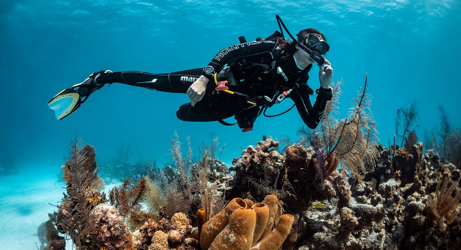 ssi basic diver course campbells beach resort