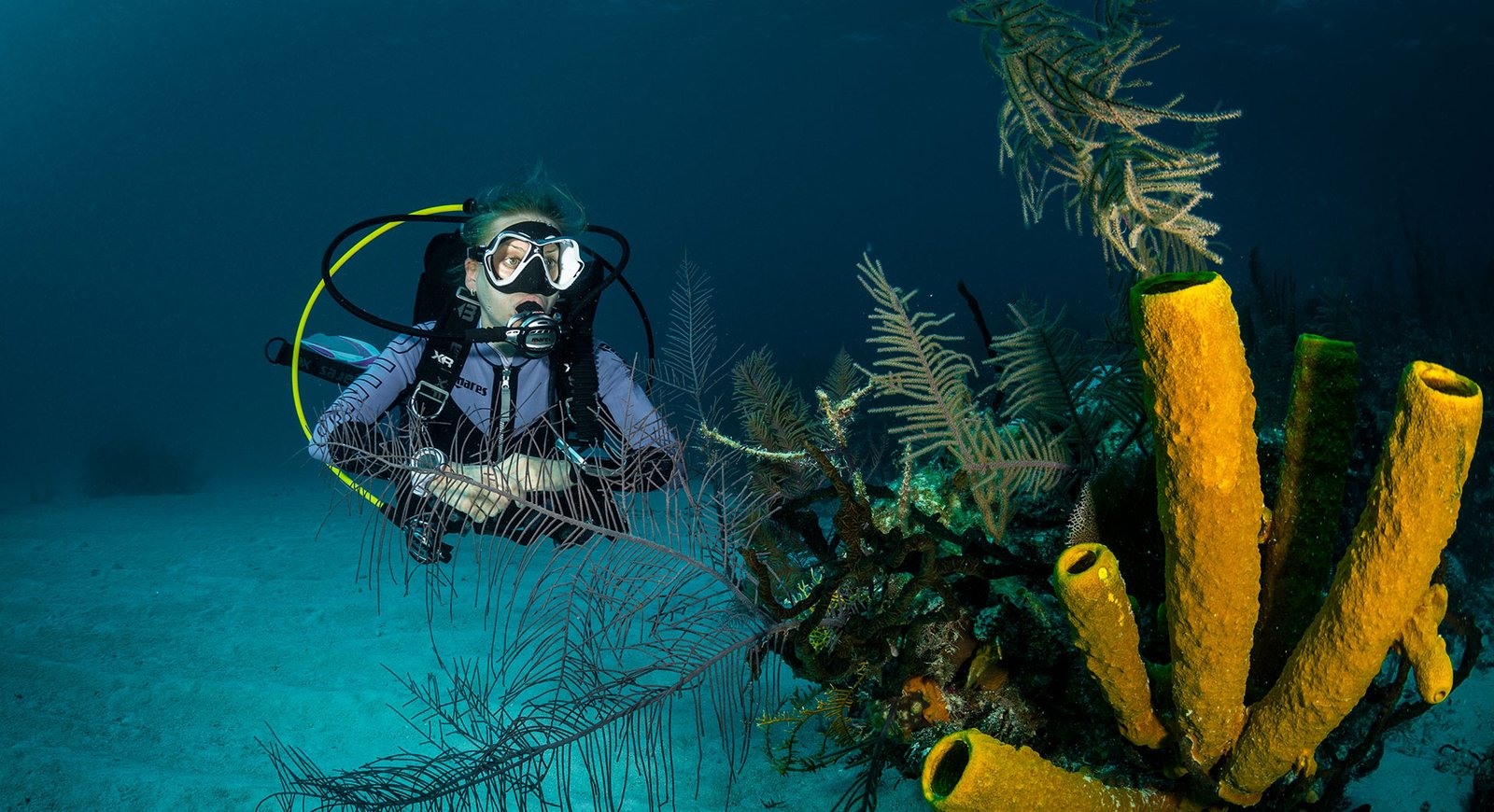 ssi perfect buoyancy course campbells beach resort